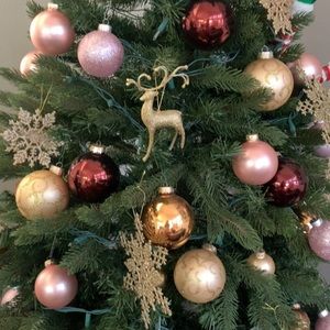 Meet your Posher, Leila